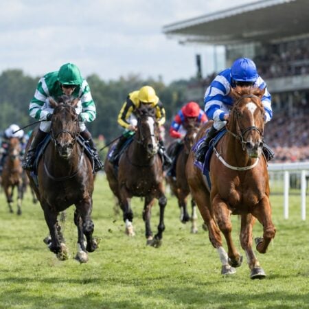 Each-Way Bets Explained – How They Work, When to Use Them & Top UK Sportsbooks
