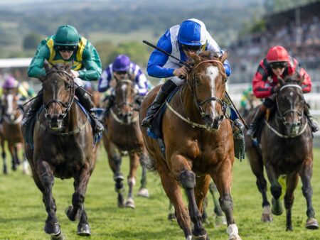Understanding Handicap Horse Racing – Beginner’s Guide to Weights, Odds & Smart Betting